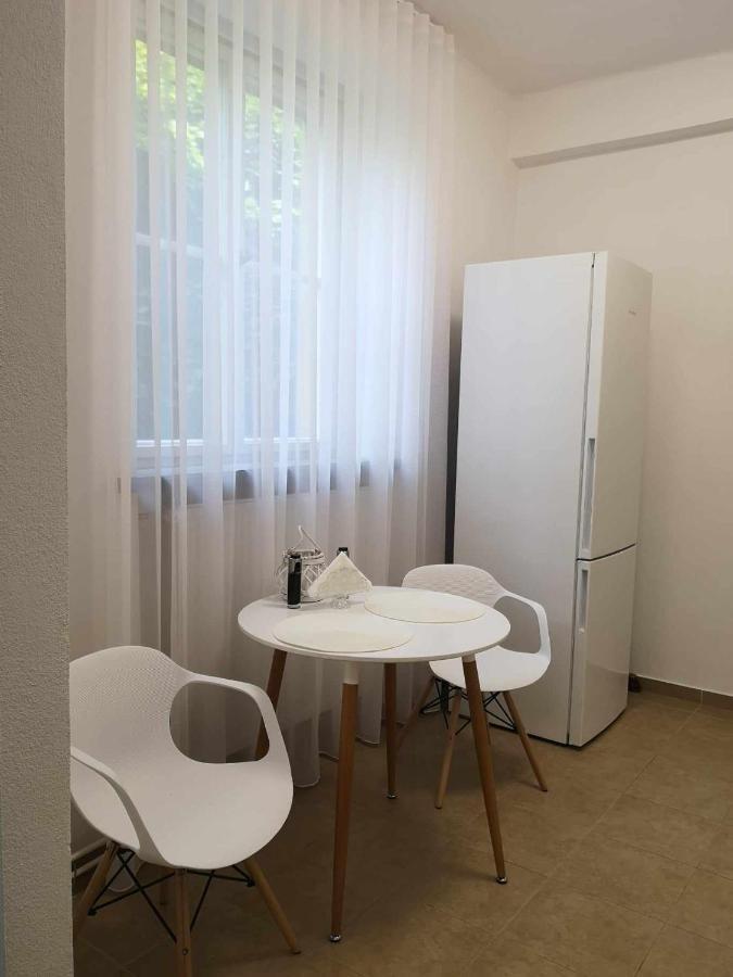 Apartman Dlouha 207 Litoměřice Exterior foto